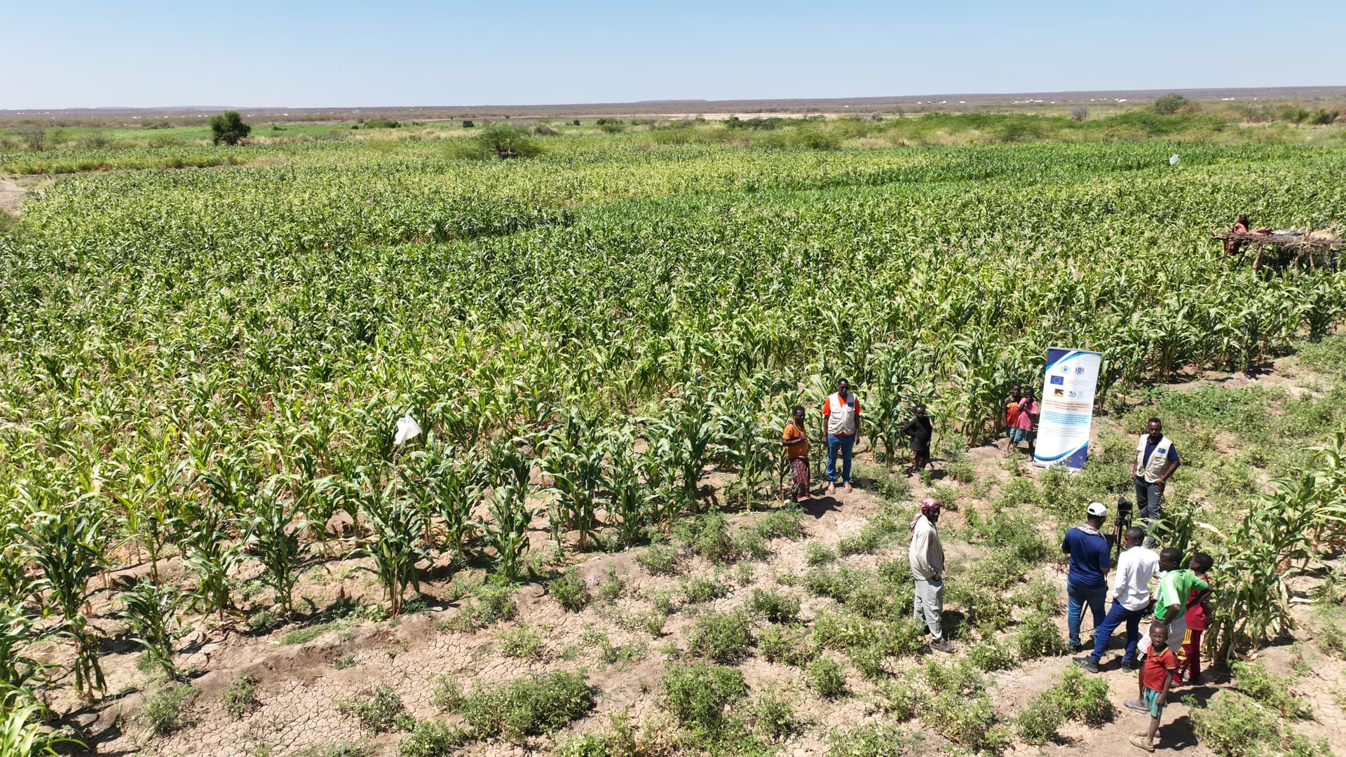 farmers project - zamzam