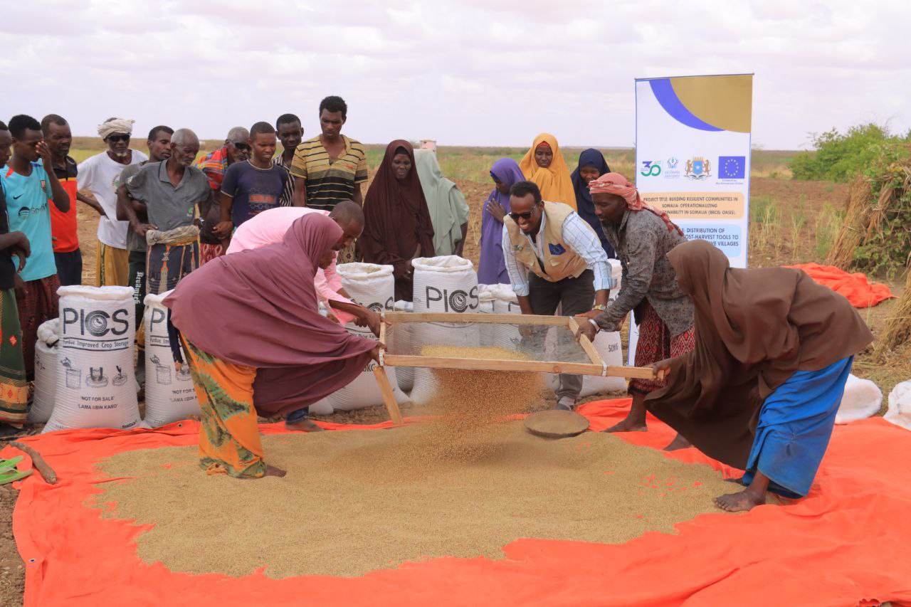 farmers project - zamzam