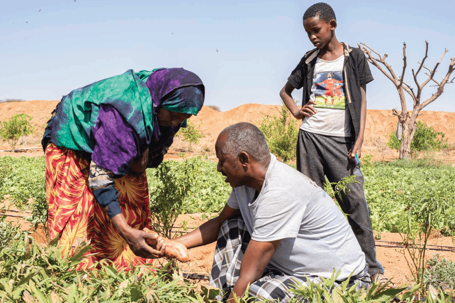 Economic Livelihoods 